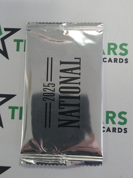2025 Panini National Convention Silver Pack 10 Pack Lot